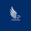Aveste Boy 